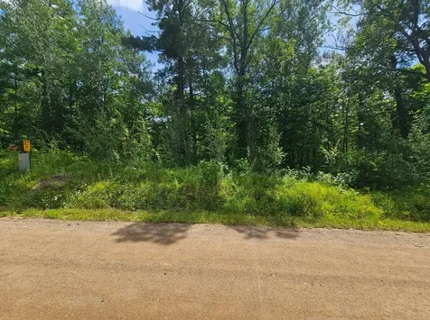 Tbd Cedar Shores Drive Deerwood Twp MN 56444