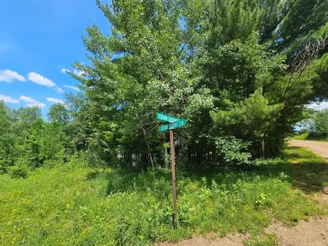 Tbd Cedar Shores Drive Deerwood Twp MN 56444