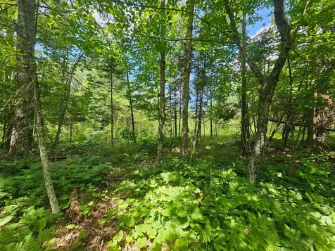 Tbd Cedar Shores Drive Deerwood Twp MN 56444