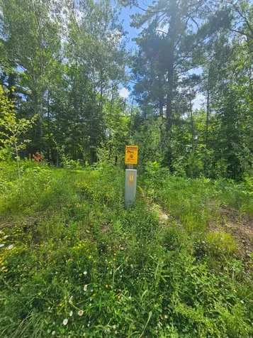 Tbd Cedar Shores Drive Deerwood Twp MN 56444