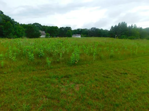 20042 Wild Rice Drive NE Wyoming MN 55092