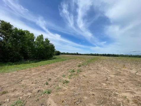 TBD2 Boot Lake Road SW Bemidji MN 56601