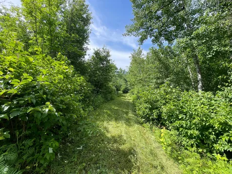 TBD2 Boot Lake Road SW Bemidji MN 56601