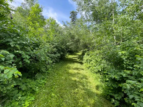 TBD2 Boot Lake Road SW Bemidji MN 56601