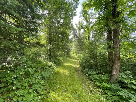TBD2 Boot Lake Road SW Bemidji MN 56601