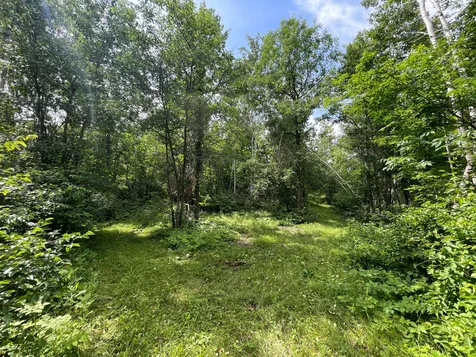 TBD2 Boot Lake Road SW Bemidji MN 56601