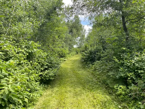 TBD2 Boot Lake Road SW Bemidji MN 56601