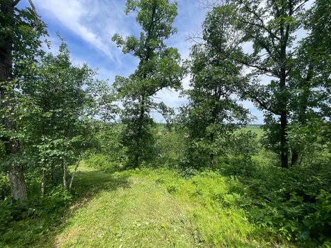 TBD2 Boot Lake Road SW Bemidji MN 56601