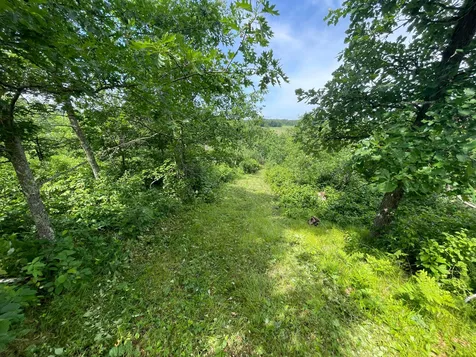 TBD2 Boot Lake Road SW Bemidji MN 56601