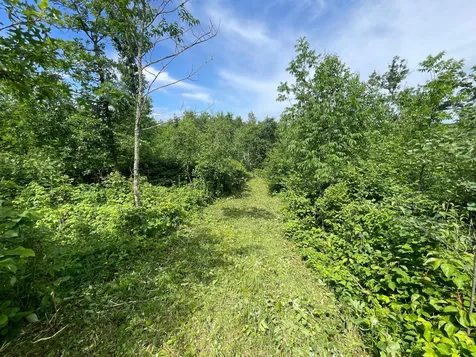 TBD2 Boot Lake Road SW Bemidji MN 56601