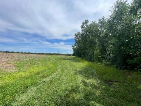 TBD2 Boot Lake Road SW Bemidji MN 56601