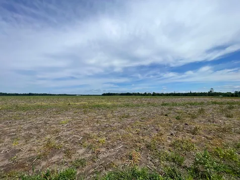 TBD2 Boot Lake Road SW Bemidji MN 56601