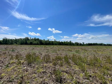 TBD2 Boot Lake Road SW Bemidji MN 56601