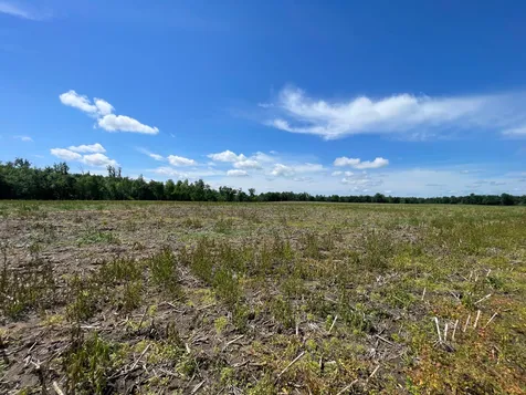 TBD2 Boot Lake Road SW Bemidji MN 56601