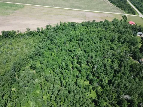 TBD2 Boot Lake Road SW Bemidji MN 56601