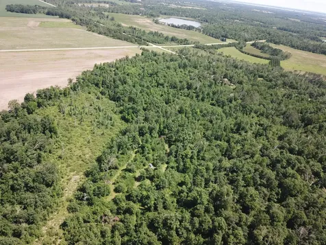 TBD2 Boot Lake Road SW Bemidji MN 56601