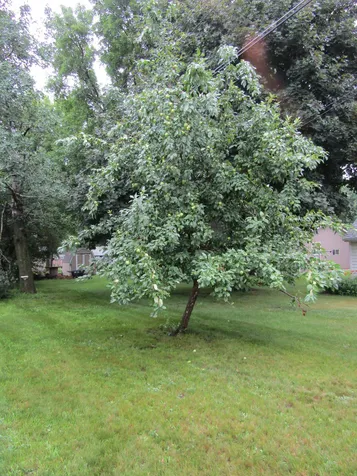 407 Eichelberger Avenue Montevideo MN 56265