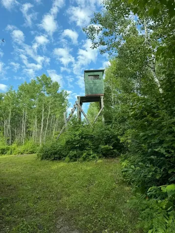 000 County Road 56 Nashwauk MN 55769