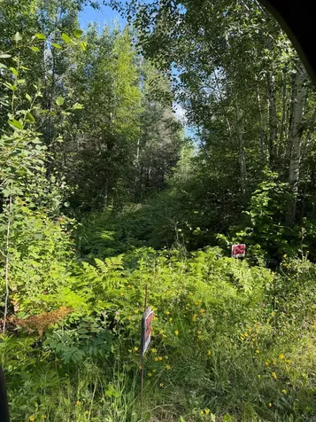 000 County Road 56 Nashwauk MN 55769