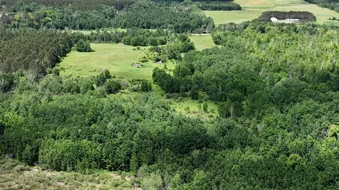 1414 Kalli Road Cromwell MN 55726