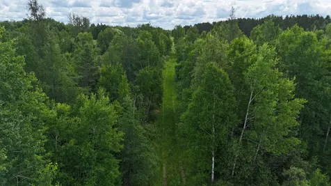 1414 Kalli Road Cromwell MN 55726