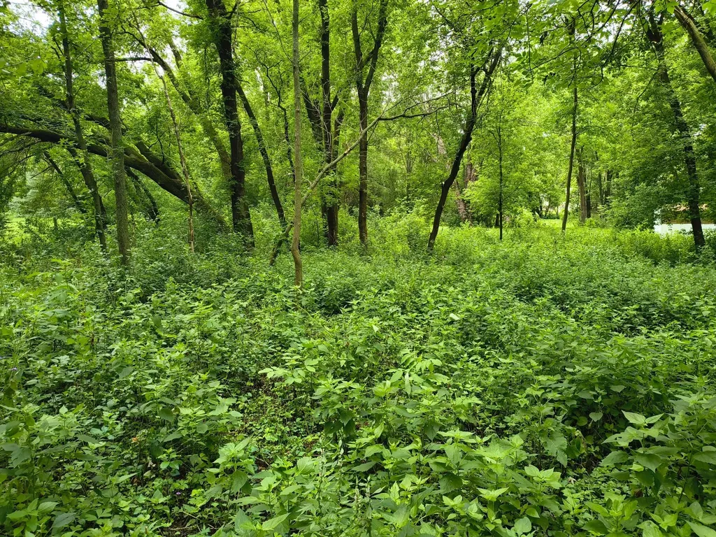 Tbd NE 4th Street Glenwood MN 56334
