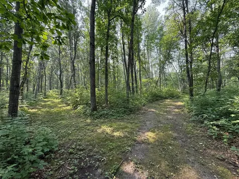 26193 Old Mill Road Merrifield MN 56465