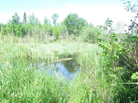 6810 Northeast Road Wright MN 55798
