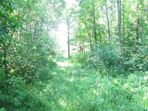 6810 Northeast Road Wright MN 55798