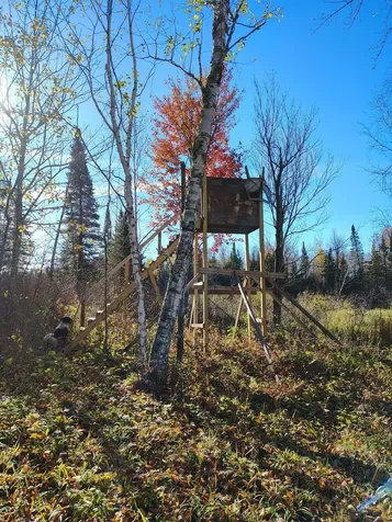 6810 Northeast Road Wright MN 55798