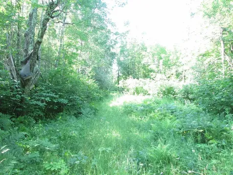 6810 Northeast Road Wright MN 55798