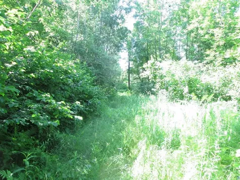 6810 Northeast Road Wright MN 55798