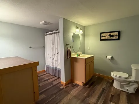 3914 Alder Street NE Bemidji MN 56601