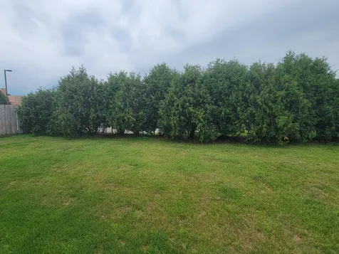 1657 148th Lane NW Andover MN 55304