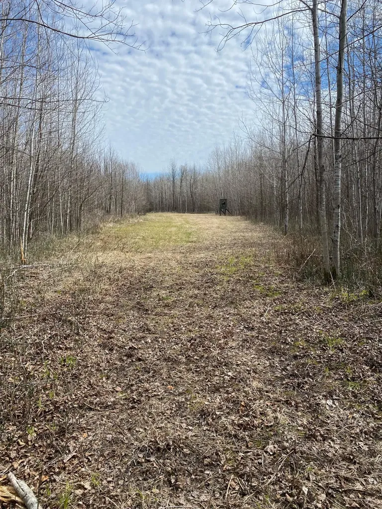 Tbd County Road 79 Littlefork MN 56649