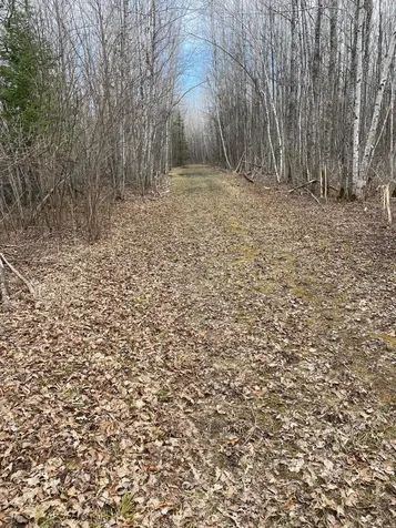 Tbd County Road 79 Littlefork MN 56649