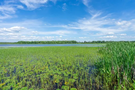 41892 251st Place Mcgregor MN 55760