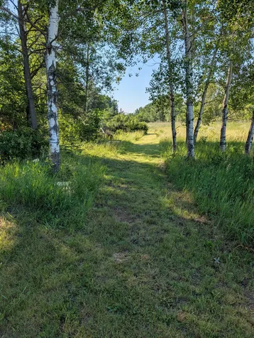 26433 Upper Necktie River Drive Bemidji MN 56601