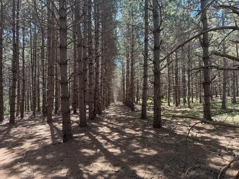 TBD-20AC Sleepy Hollow Road Brainerd MN 56401