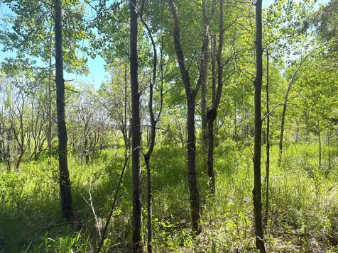 TBD-20AC Sleepy Hollow Road Brainerd MN 56401