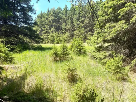 TBD-20AC Sleepy Hollow Road Brainerd MN 56401