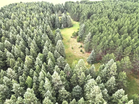 TBD-20AC Sleepy Hollow Road Brainerd MN 56401