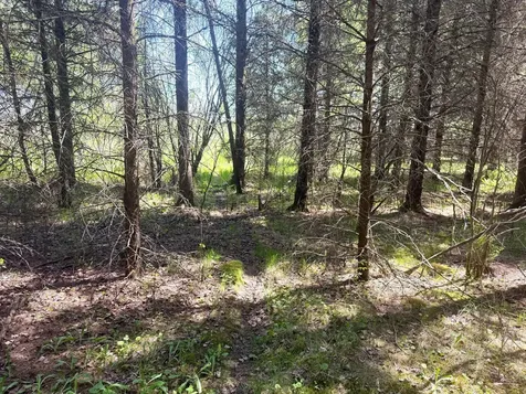 TBD-20AC Sleepy Hollow Road Brainerd MN 56401