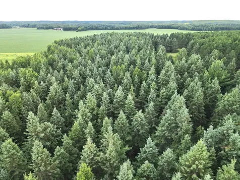 TBD-20AC Sleepy Hollow Road Brainerd MN 56401