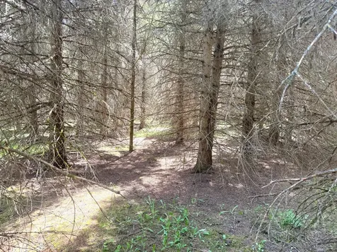 TBD-20AC Sleepy Hollow Road Brainerd MN 56401