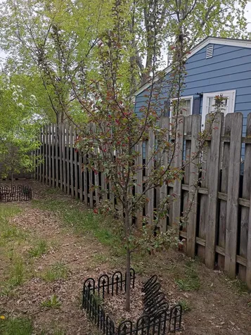 6009 Quebec Avenue N New Hope MN 55428