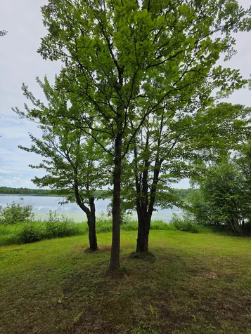 20250 Bass Lake Road Bovey MN 55709