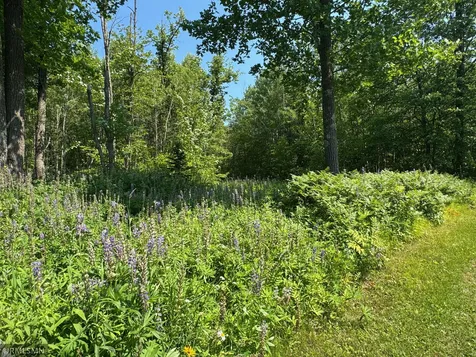 30288 125th Place Sturgeon Lake MN 55783