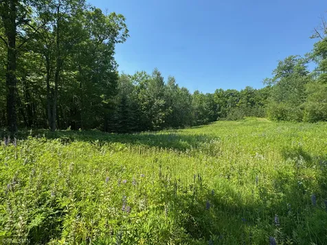30288 125th Place Sturgeon Lake MN 55783