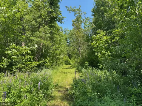 30288 125th Place Sturgeon Lake MN 55783